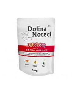 Dolina Noteci Junior Serca...