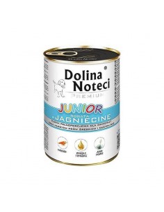 Dolina Noteci Junior...