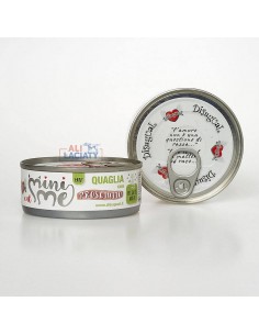 Disugual Mini-Me Przepiórka...