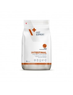 Intestinal dog 2kg - VetExpert