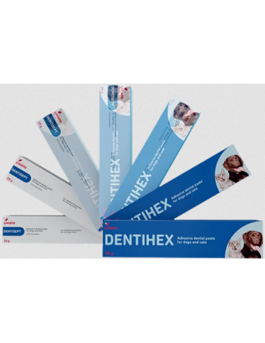 Dentihex (wcześniej Dentisept) 20 g -...