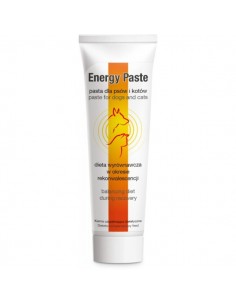 Energy Paste 100 g - Dolfos