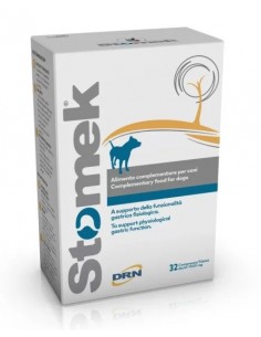 Geulincx Stomek - Na...