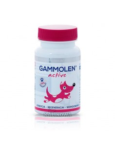 Gammolen Active 90 tabl. -...
