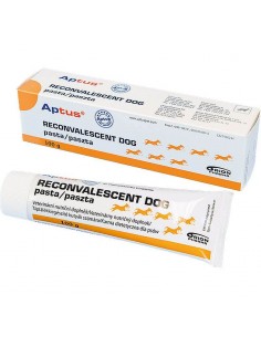 Reconvalescent Dog pasta...