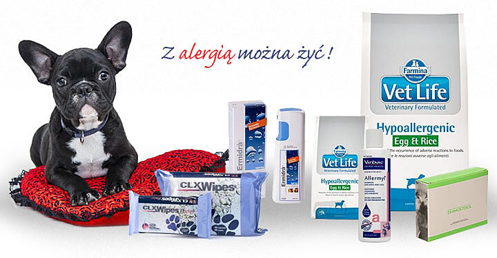 Pies i kot z alergią - sklep
