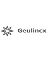 Geulincx